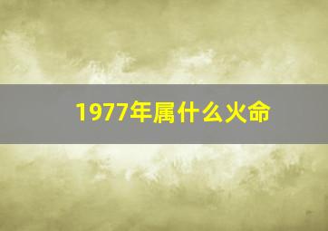 1977年属什么火命