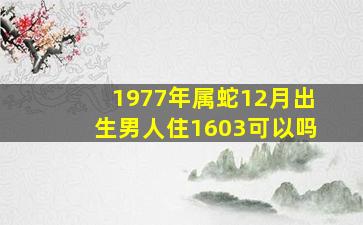 1977年属蛇12月出生男人住1603可以吗