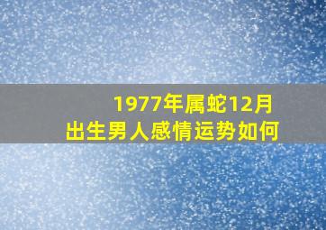 1977年属蛇12月出生男人感情运势如何