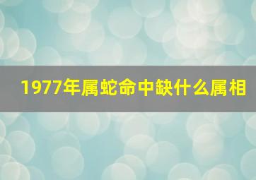 1977年属蛇命中缺什么属相