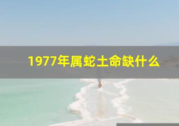 1977年属蛇土命缺什么