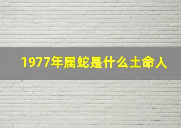 1977年属蛇是什么土命人