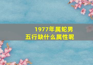 1977年属蛇男五行缺什么属性呢