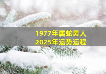 1977年属蛇男人2025年运势运程