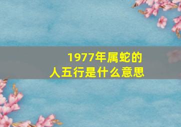 1977年属蛇的人五行是什么意思