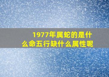 1977年属蛇的是什么命五行缺什么属性呢