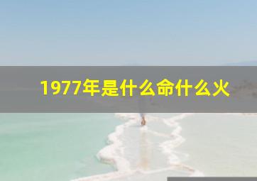 1977年是什么命什么火