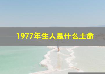 1977年生人是什么土命