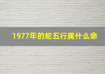 1977年的蛇五行属什么命