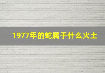 1977年的蛇属于什么火土