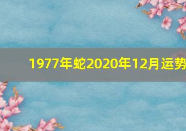 1977年蛇2020年12月运势