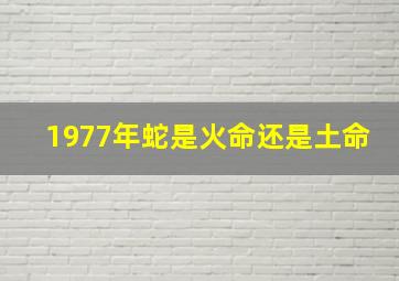 1977年蛇是火命还是土命