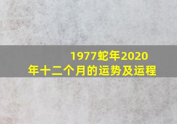 1977蛇年2020年十二个月的运势及运程