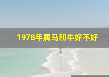 1978年属马和牛好不好