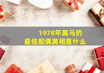 1978年属马的最佳配偶属相是什么