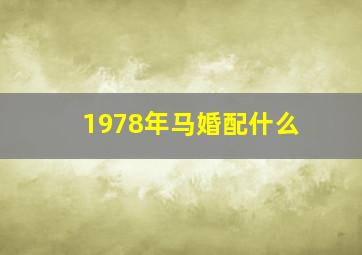 1978年马婚配什么