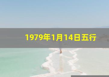 1979年1月14日五行