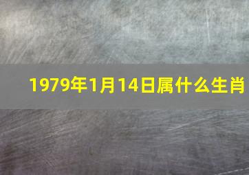 1979年1月14日属什么生肖