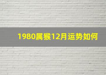 1980属猴12月运势如何