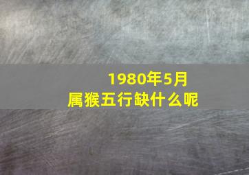 1980年5月属猴五行缺什么呢