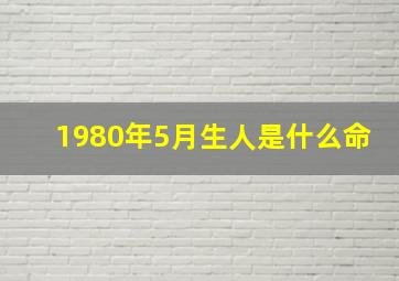 1980年5月生人是什么命