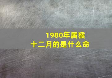 1980年属猴十二月的是什么命