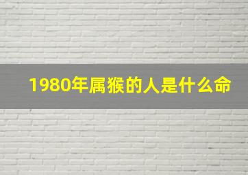 1980年属猴的人是什么命