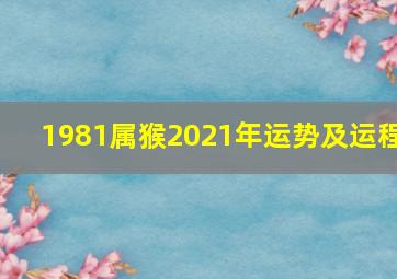 1981属猴2021年运势及运程