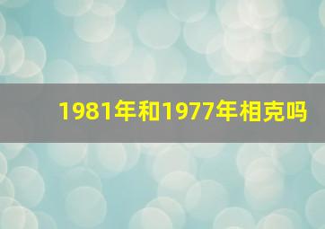 1981年和1977年相克吗