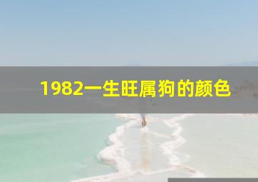 1982一生旺属狗的颜色