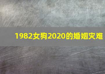 1982女狗2020的婚姻灾难