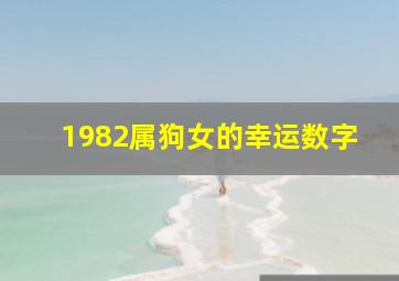 1982属狗女的幸运数字