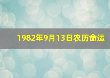 1982年9月13日农历命运