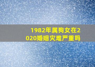 1982年属狗女在2020婚姻灾难严重吗