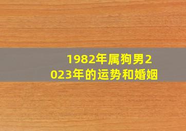 1982年属狗男2023年的运势和婚姻