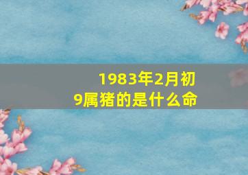 1983年2月初9属猪的是什么命