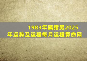 1983年属猪男2025年运势及运程每月运程算命网