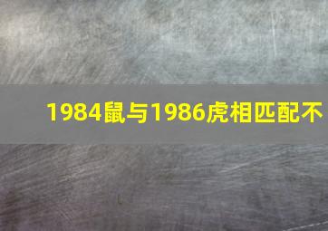 1984鼠与1986虎相匹配不