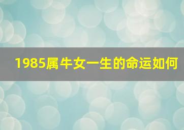 1985属牛女一生的命运如何