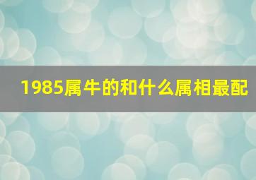 1985属牛的和什么属相最配