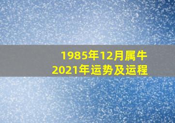 1985年12月属牛2021年运势及运程