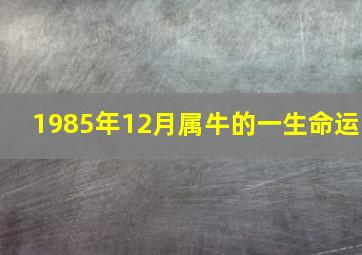 1985年12月属牛的一生命运