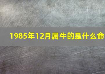 1985年12月属牛的是什么命