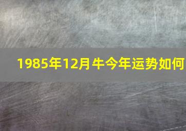 1985年12月牛今年运势如何