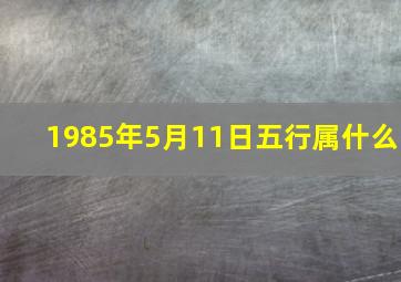 1985年5月11日五行属什么