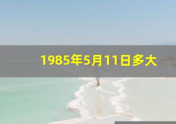 1985年5月11日多大