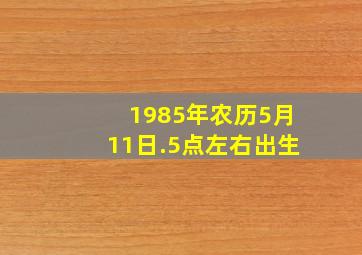 1985年农历5月11日.5点左右出生