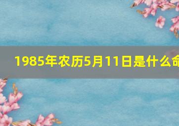 1985年农历5月11日是什么命