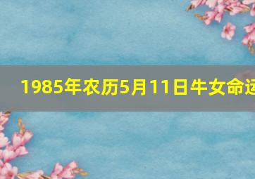 1985年农历5月11日牛女命运