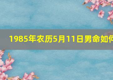 1985年农历5月11日男命如何